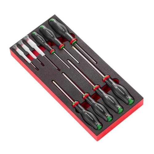 Moduł 10 wkrętaków Protwist® Resistorx® i Micro-Tech® Torx®, T6 – T8 i TT10 – TT40 MODM.AT6 Facom